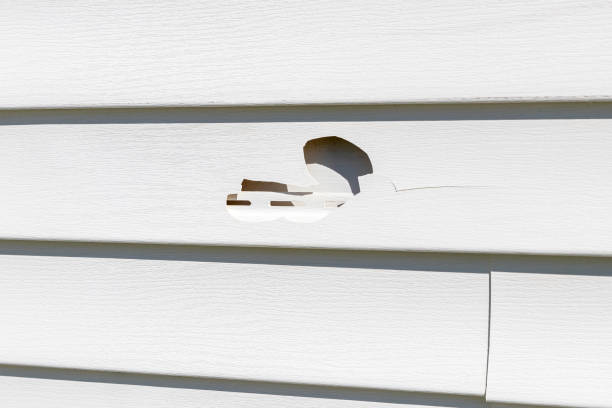 Best Steel Siding Installation  in Sleepy Hollow, CA